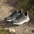 adidas Terrex Trailmaker 2.0 GORE-TEX 'Kelabu Karbon' IE5148