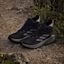 Purchase Adidas Terrex Trailmaker 2.0 Mid GTX Hiking Boots Core Black/Carbon/Grey Four IE9062