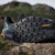 Adidas Terrex Trailmaker 2 GORE-TEX Hiking Shoes Core Black/Grey Six/Preloved Teal JQ9944