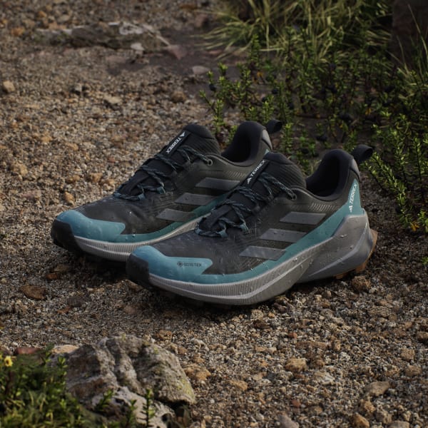 Purchase Adidas Terrex Trailmaker 2 GORE-TEX 登山鞋 黑色/灰色/懷舊藍綠 JQ9944