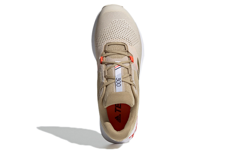 Purchase adidas Terrex Two Flow ''Gris Or'' FZ3017