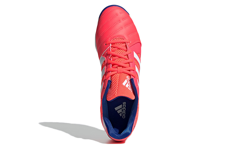 Purchase adidas Top Sala Voetbalschoenen ''Signal Pink Wit Royal Blue'' FX6761