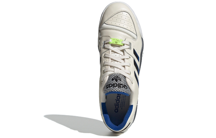 Shop adidas Originals Torsion Comp 白藍