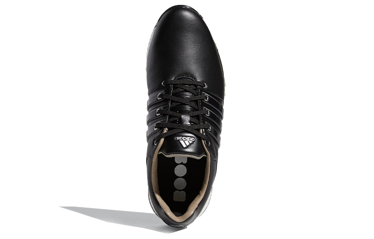 Purchase adidas Tour360 XT Schwarz/Weiß BB7925