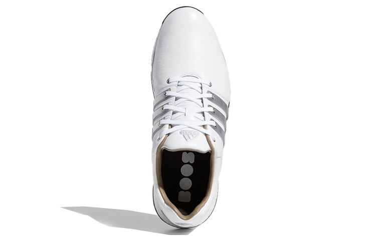 Purchase adidas Tour360 Xt Perak/Putih BB7921