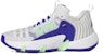 adidas Trae Unlimited 'Kelabu Dash Biru Lucid' HQ1019