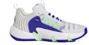 Order adidas Trae Unlimited 'Kelabu Dash Biru Lucid' HQ1019