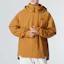 Shop adidas Traveer RR J Yellow Hooded Logo Stripe Jacket for Men HG6013