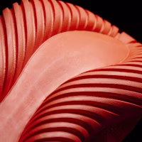 adidas Tubular Radial 'Merah' S80116 Details for adidas Tubular Radial 'Merah' S80116