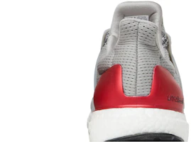 Sizing adidas UltraBoost 1.0 'Grey Scarlet' HR0062