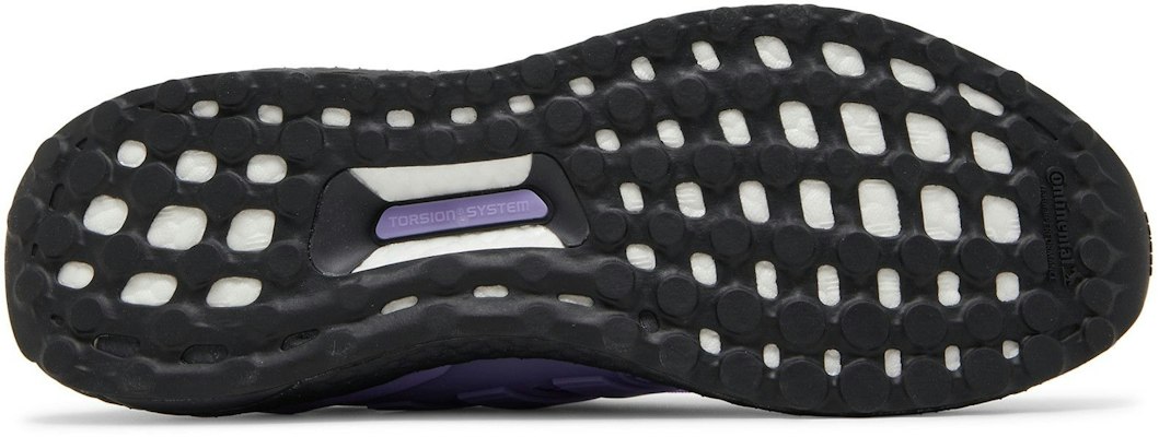 adidas UltraBoost 1.0 DNA '紫色薄紗' GV9591 Purchase adidas UltraBoost 1.0 DNA '紫色薄紗' GV9591