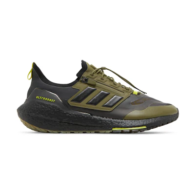 adidas UltraBoost 21 GTX 'Focus Olive'