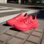 Purchase adidas Ultraboost 5 'Merah Lucid' IE1111