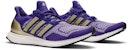 adidas UltraBoost 'Washington Huskies' Lelaki Wanita Kasut Sukan FV0282
