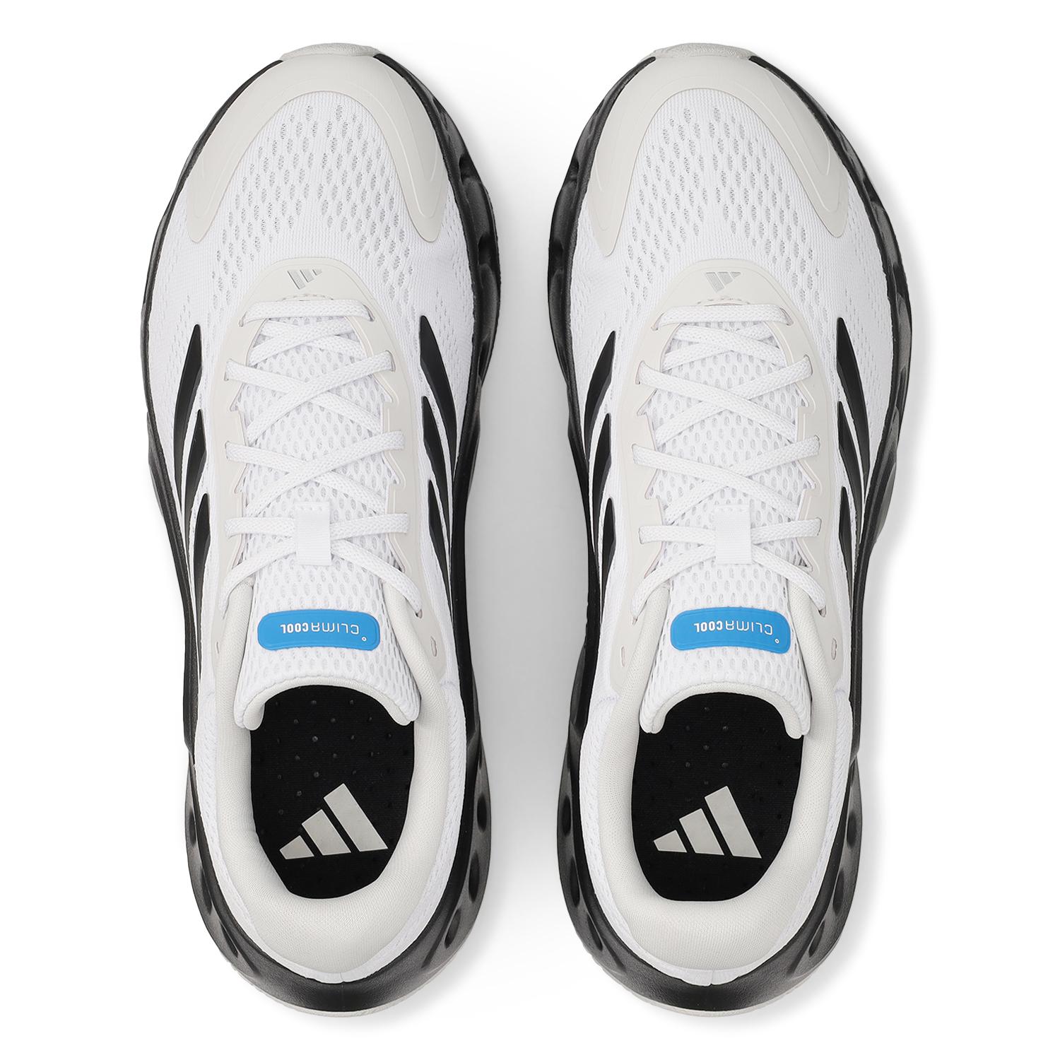 Order adidas Ventice Climacool 白色/核心灰色 KI6905
