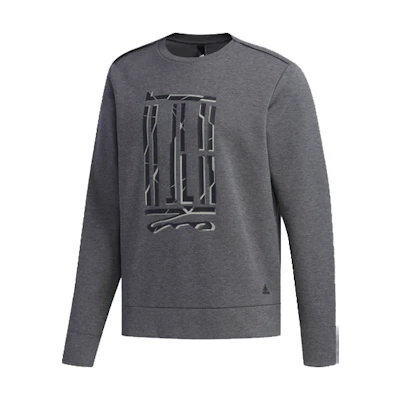 adidas WJ CS GFX Graphic Crewneck Sweatshirt Men’s Grey DW4670