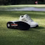 Shop adidas ZX 8000 Spikeless Golf Shoes - Golf Style Training Sneakers. Alumina/Hemp/Core Black JQ3447