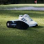 Shop adidas ZX 8000 Spikeless Golf Shoes Off White/Dusky Petrol/Crystal Sky JQ3446
