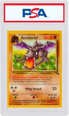 1999년 포켓몬카드 화석 에어로닥틸-홀로 (1/62)
Buy 1999년 포켓몬카드 화석 에어로닥틸-홀로 (1/62)