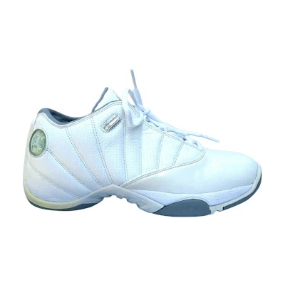 Jordan 12.5 Team Low