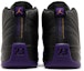 Details for Air Jordan 12 'Hitam' CT8013-057