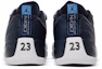 Details for Air Jordan 12 Retro Low 'Obsidian' 2004 308317-441