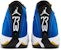 Air Jordan 14 Retro 'Laney' 487471-407