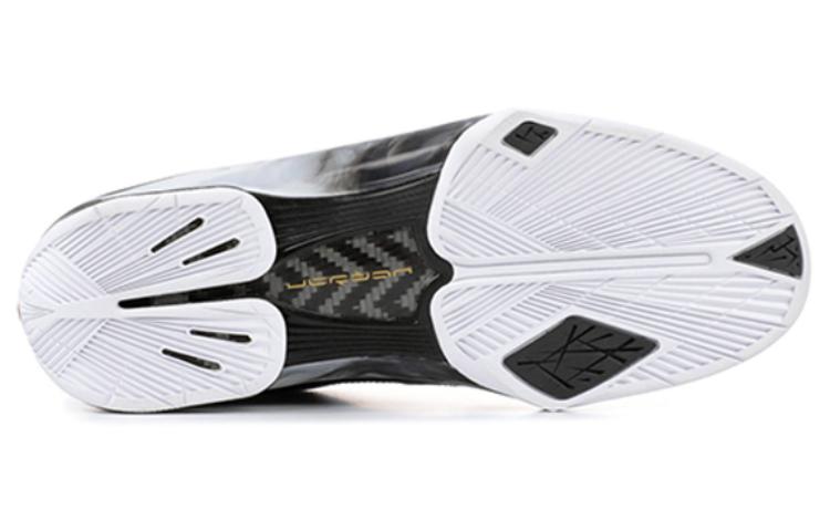 Purchase Air Jordan 2009 '名人堂' 371499-031