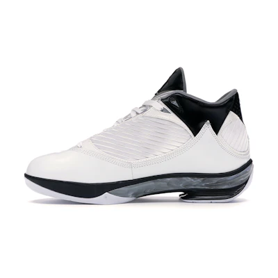 Jordan 2009 'White Metallic Silver'