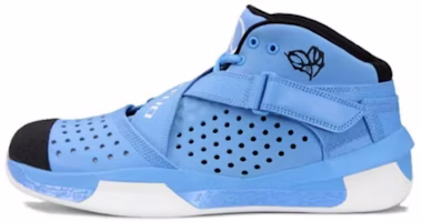 Air Jordan 2010 Outdoor 'For the Love of the Game' 407744-401 Air Jordan 2010 Outdoor 'For the Love of the Game' 407744-401