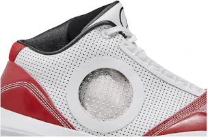 Order Air Jordan 2010 归来之家 387358-101