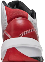 Sizing Air Jordan 2010 归来之家 387358-101
