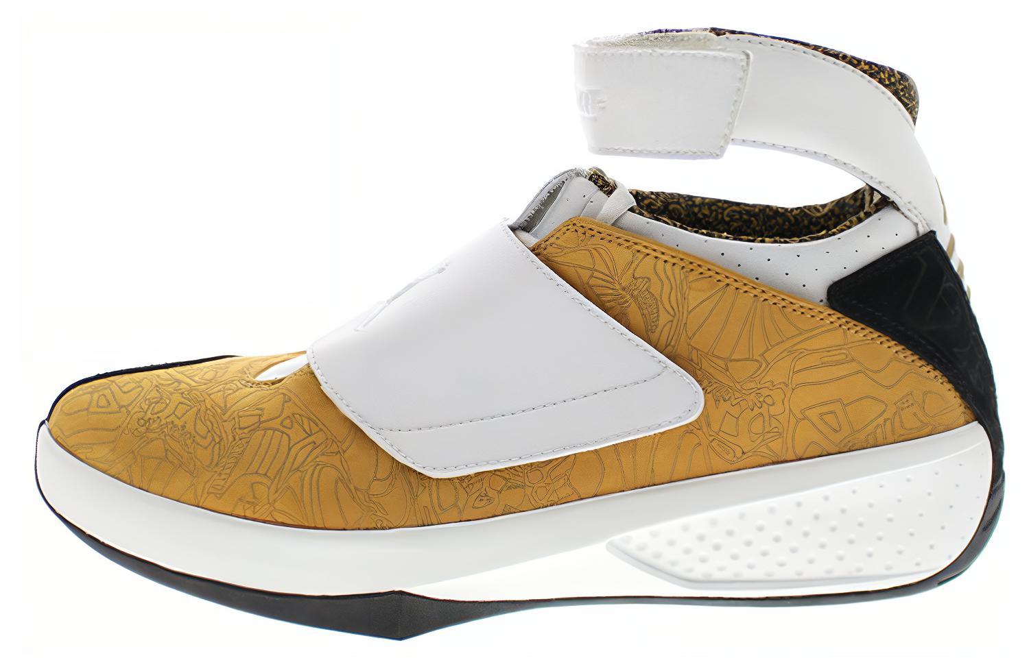 Buy Air Jordan 20 OG '东海岸' 310455-711