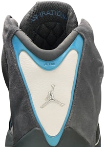 エアジョーダン21 OG "ライトグラファイト" 313495-002 Sizing エアジョーダン21 OG "ライトグラファイト" 313495-002