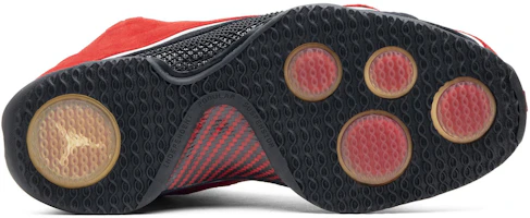 Purchase Air Jordan 21 OG ''Rotes Wildleder'' 313495-602