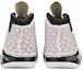 Details for Air Jordan 23 OG 'All-Star' Original 318376-101