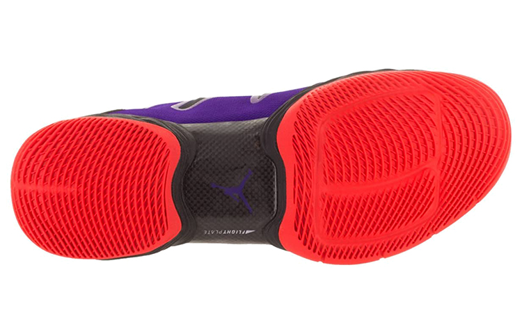 Details for エアジョーダン28 "ラプターズ" 616345-523