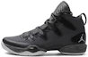 Buy Air Jordan 28 SE 'Gris Cool' 616345-003