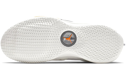 Details for Air Jordan 33 PF 'Gris Vast' BV5072-004