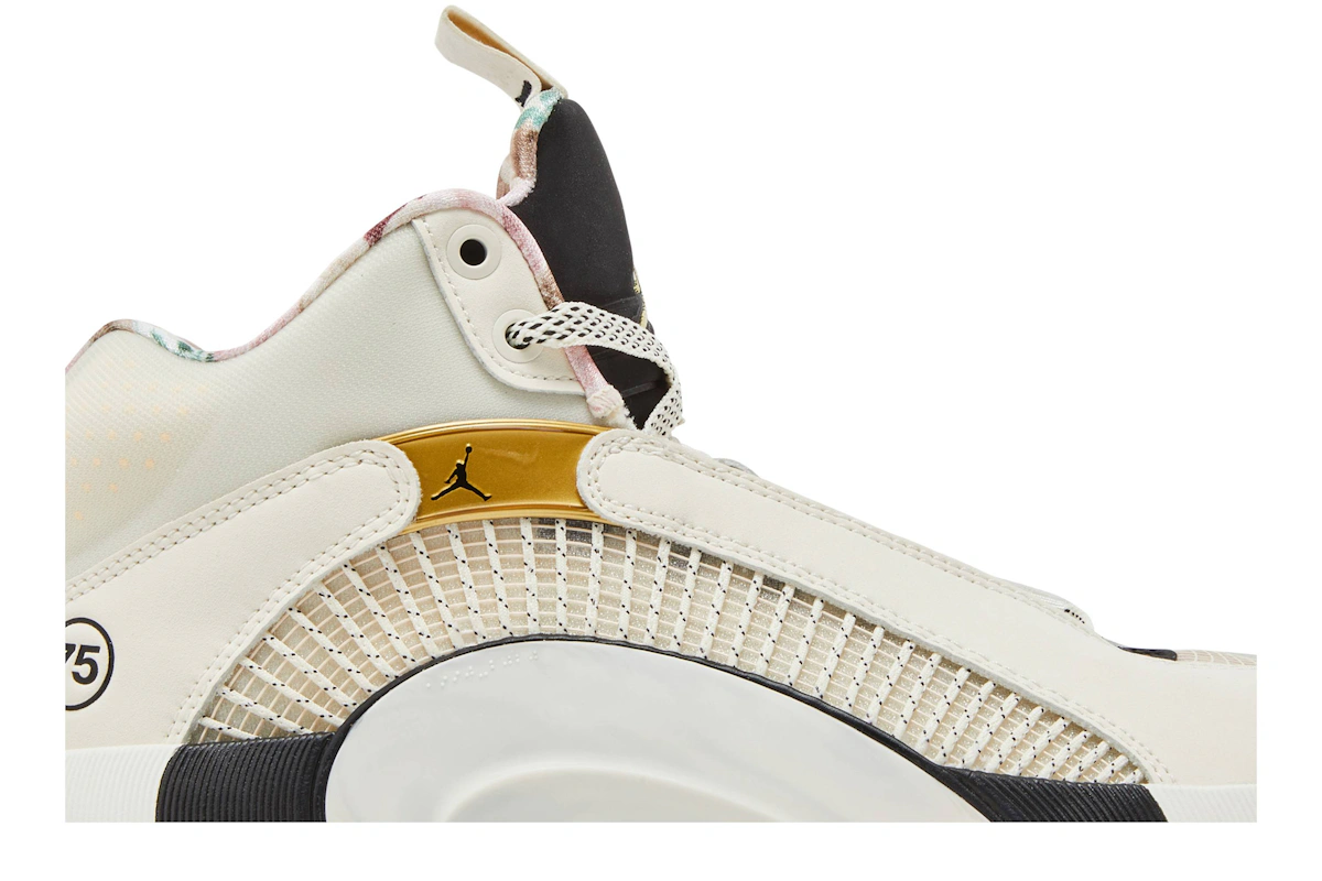 Air Jordan 35 'Paris'