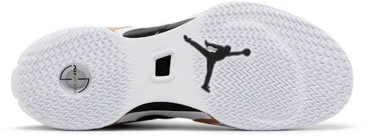 Shop Air Jordan 36 Low PF 'DMP' DH0832-071