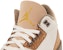 Air Jordan 3 'Coklat Orewood Cerah' CT8532-102