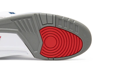 Air Jordan 3 Retro OG 'True Blue' 2016