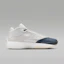 Lookbook Air Jordan 40 PF Photon Dust/Gris Flint/Gris Lobo HM9932-001
