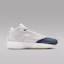 Shop Air Jordan 40 PF 灰光塵/燧石灰/狼灰 HM9932-001