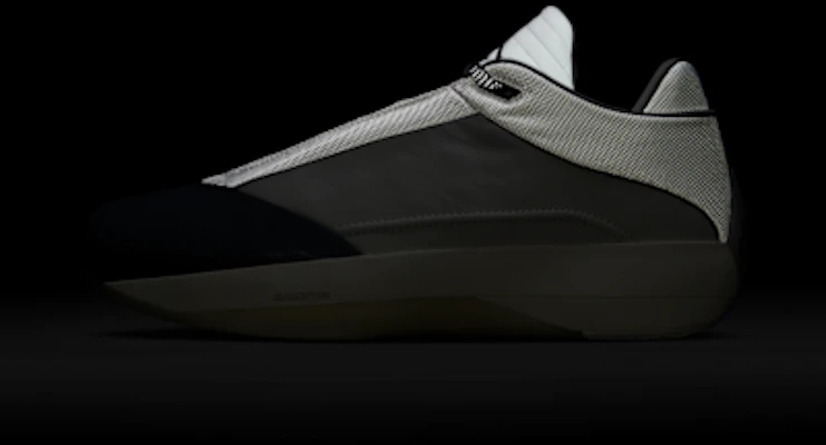 Air Jordan 40 PF Photon Dust/Gris Flint/Gris Lobo HM9932-001 1