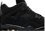 Order Air Jordan 4 Retro 2025 'Kucing Hitam' FV5029-010