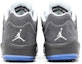 Details for Air Jordan 5 Low Golf 'Wolf Grey' CU4523-005