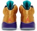 Details for Air Jordan 5 Retro Friends & Family 'Fresh Prince of Bel-Air' Malaysia MNJDLS-818-861523