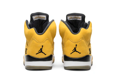 Air Jordan 5 Retro T23 'Tokyo' 454783-701